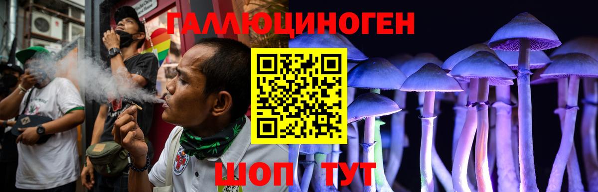 Лесозаводск  Псилоцибиновые грибы ЛСД  Вход с VPN 